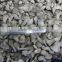 supply baby oyster mushroom Frozen iqf in China market