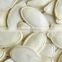 Shine-skin pumpkin seeds for wholesale from China