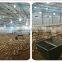 automatic chicken farm design equipment for broiler, breeder and layer