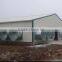 Low cost poultry chicken farm building for Philippines