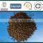 DAP fertilizer 18-46-0 Yellow color brown color 2-4mm in agricultural use
