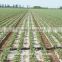 Companies sprinkler micro drip irrigation systems