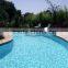 garden swimming pool