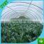 120gsm transparent/light blue woven pe greenhouse film/pe film