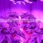 810W Mcob Plant Grow Light Lamp for Greenhouse, Hydroponics, Greenhouse, ideal to replace the 1000w Hps,hid