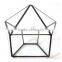 Truncated Zigzag 2 sizes Geometric Flower Glass Terrarium