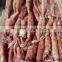 LOLIGO SQUID PINK