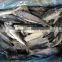 China cheap china frozen fish pacific mackerel on with good quality