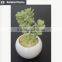 Mini potted succulents plants factory selling mini artificial succulents