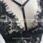Import Sexy Girls Pictures of Women in Lace Underwear Full Transparent Bra Bra Set