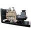 diesel generator set