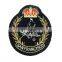 custom promotional 100% polyester cartoon embroidery patches sew on