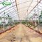 2017 China Low Cost Tunnel Greenhouse Kits