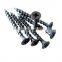 black oxied drywall screws drywall to wood