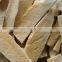 Hot sale earthworms freeze dryer machine lyophilized fruit