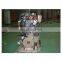 Brand new 555hp NTA855-G7A555 diesel engine for generator set