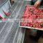 LONKIA Industrial Feet Freezer Meat Sea Food Quick Freezing Container Machine Cold Room Freezer
