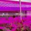 new arrival UL Listed Grow light strip, Factory selling, color ratio adjustable , 4 chip in 1 LED