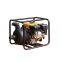 Hot Sale for Industrial and Agricultural Use Gasoline Chemical pump