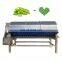 Big capacity highly automatic green peas peeling machine frozen green peas production line