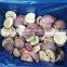 Top Quality IQF White Peach Halves Honey Peach Frozen Half Cut IQF Frozen Juicy White Peach Halves