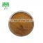 Factory supply in stock 100% Natural Rumex acetosa extract powder