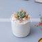 Flower Pots Mini Pottery Wholesale Bonsai Plant Small Indoor Plants Succulent Planter White Ceramic Pot