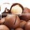 macadamia nuts dry cracked Macadamia Nuts with Best Quality Cheap Price and Delicious Without a shell Chinese Macadamia Nuts