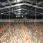 Cheap Industrial Shed Design Prefabricated Building Big Steel Structure Meat Chicken House With Best Quality