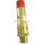 screw air compressor parts wholesale Atlas spare parts Safety valve 1092001928