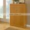 2015 Shoe Storage Cabinet