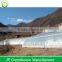 4,5m High Tunnel Greenhouse