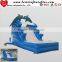 8mL Giant Dolphin Inflatable Slide