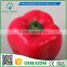 Greenflower 2016 Wholesale artificial fruit pepper China handmake forma fruit for school resturant decoration