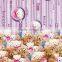 Teddy Bear Printing Wraping Paper Paperboard Paper Printing