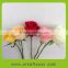Alibaba china hot selling high quality fresh cut flowers roses in India