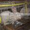 rabbit cages /stainless steel welded wire fence producted by china suppliers