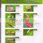 Artificial Turf Maintenance & Installation Machine/Tools