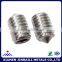 Stainless steel tip machine set screw