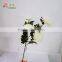 BJ016 5 heads white big chinese chrysanthemum flower for home decoration