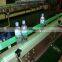 Beverage manufacture plastic chain conveyor production line