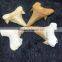 100% Natural Shark Teeth Fossils Pendants Fossils