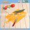 PP cutting board,thin cutting board