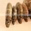 Best selling Amazing Beautiful Natural Pretty Ammonites skulls for wholesale