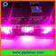 Factory price 2 year warranty CE&RoHS rainproof IP65 RGB dmx led wall washer 10W