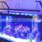 New freshwater light of DSunY dimmable programmable led aquarium light fast growth/vivid color/ slow accommodation with 2 panels