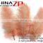 CHINAZP No.1 Supplier in China Factory Exporting Wholesale from 10inch to 12inch Champagne Ostrich Feathers
