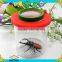 Educational Bugs Toy Magnifier for Observing Bug Insets Viewer