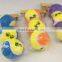 high quality customized color and brand pet tennis ball with the ball holder,