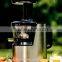 2016 the latest AC motor 43RPM stainless steel housing slow juicer